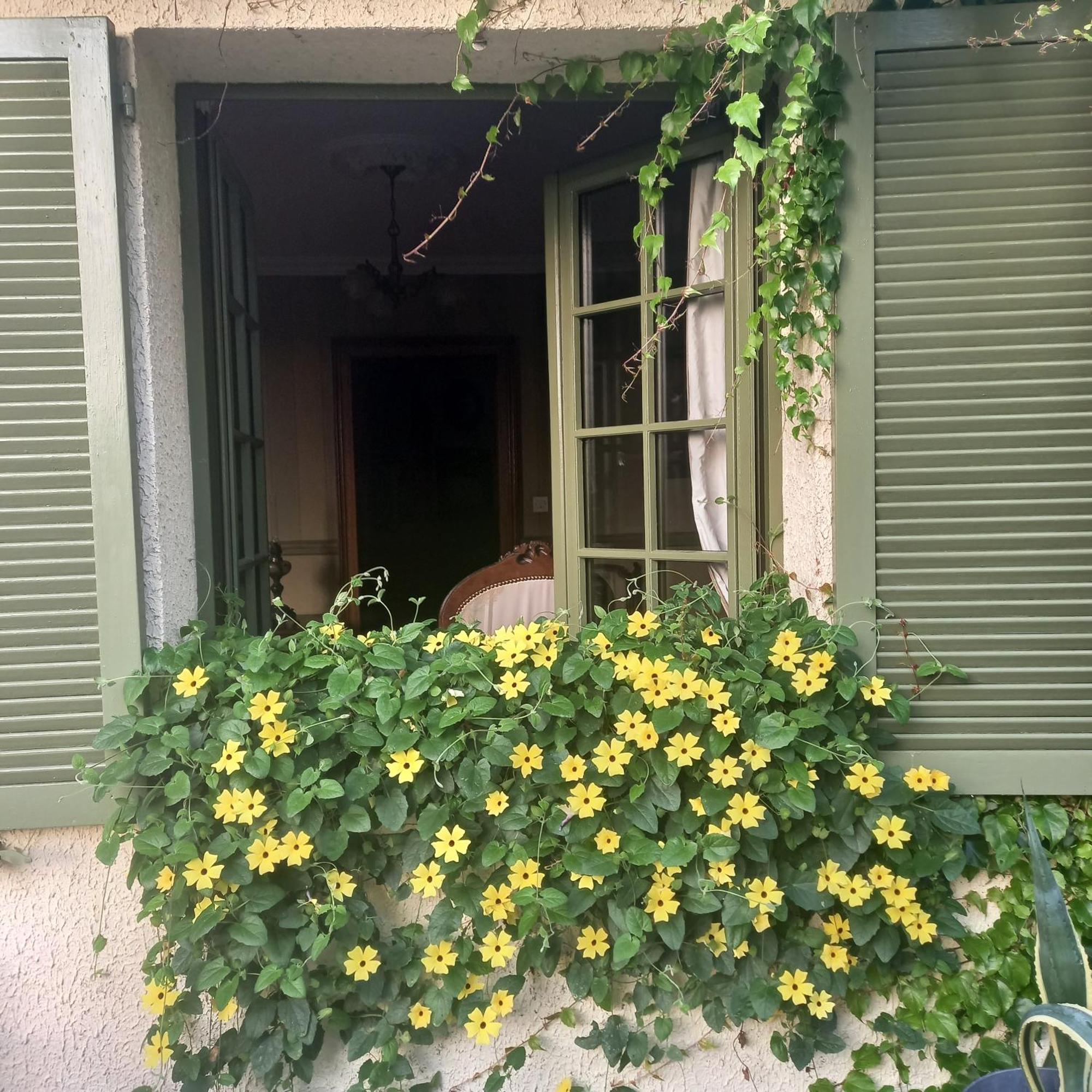 Les Insolites Watronville Exterior foto